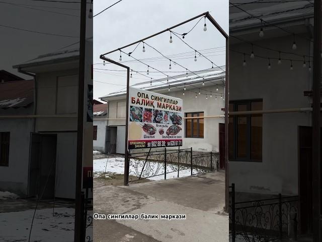 Где покушать жареную рыбу рядом с Ташкентом часть-1 рыба-жарка