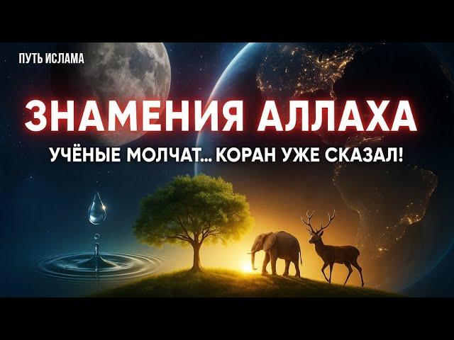 ЗНАМЕНИЯ АЛЛАХА которые ты игнорируешь каждый день! | Путь Ислама