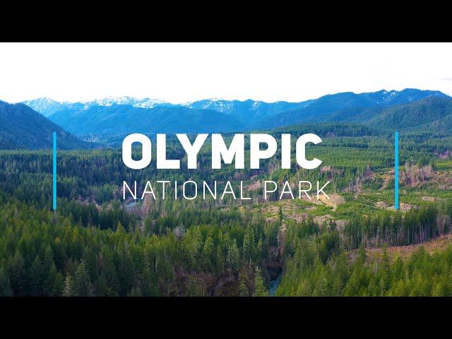 Olympic National Park, Washington | 4K video