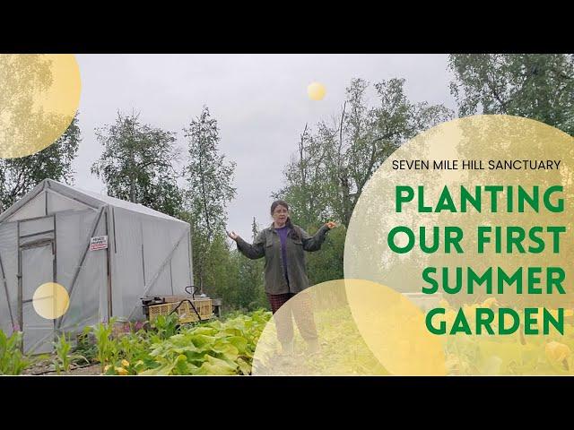 Planting Our First Summer Garden Seven Mile Hill Sanctuary Alaskan Frontier Journey