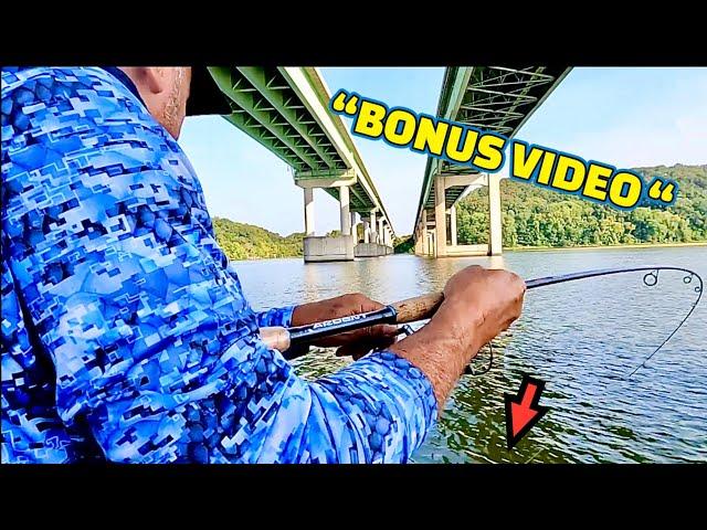 Catching Fish Under a BIG BRIDGE on the TENNESSEE RIVER !!