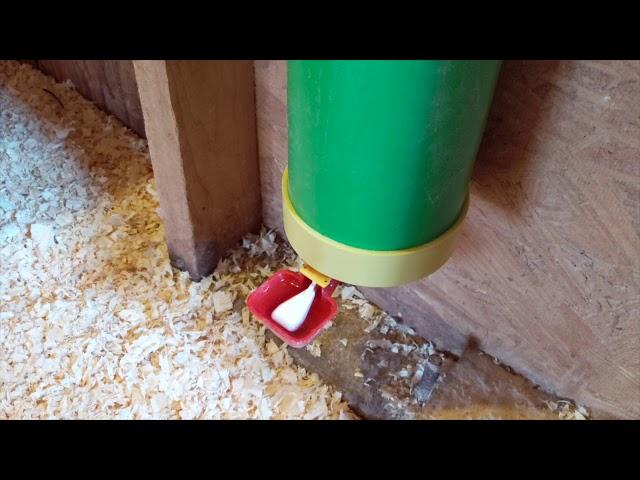 Rugged Ranch Poultry Waterer Review