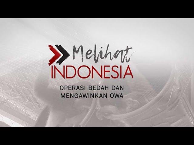 Melihat Indonesia - Operasi Bedah Dan Mengawinkan Owa