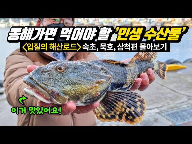 Visit Korea’s Donghae Fish Market! It’s full of amazing and delicious seafood.