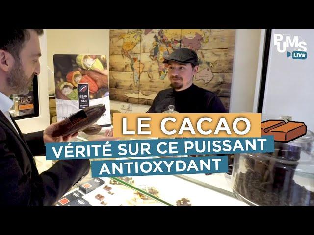 Quels sont les vrais bienfaits du cacao pour la santé ?