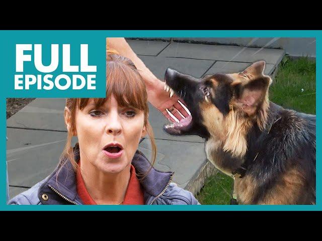 'HELL RAISING' German Shepherd is Out of Control! | Full Episode | It's Me or the Dog