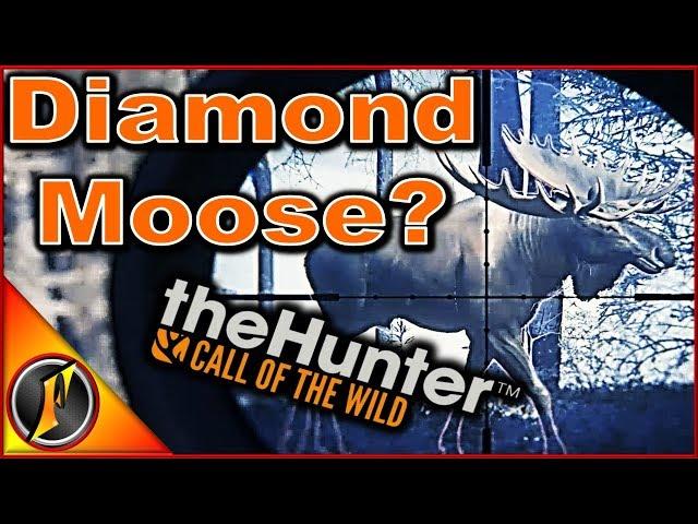 A Diamond Moose? w/ ZaggiDK | theHunter: Call of the Wild 2018