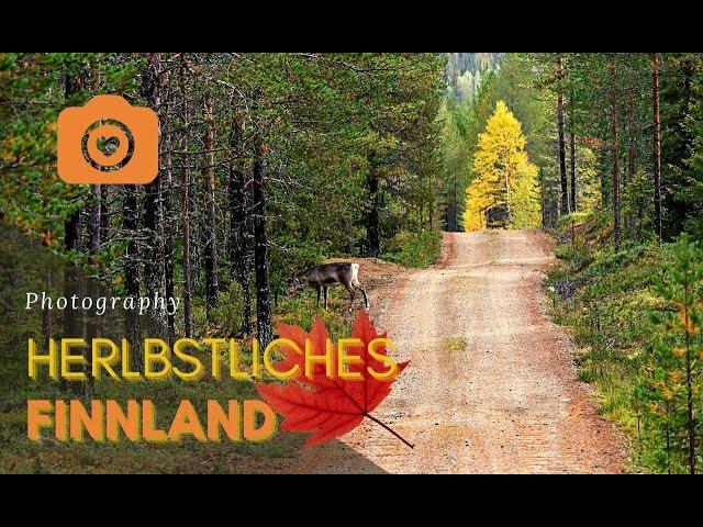 Finnland erleben | Herbst in Suedkarelien- Ruska bunte Naturlandschaften- Leben in Finnland