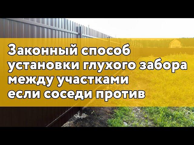 Законный способ установки глухого забора между участками если соседи против