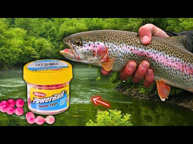 Trout fishing the Chattahoochee River at Buford Dam Park! (Berkley Powerbait)