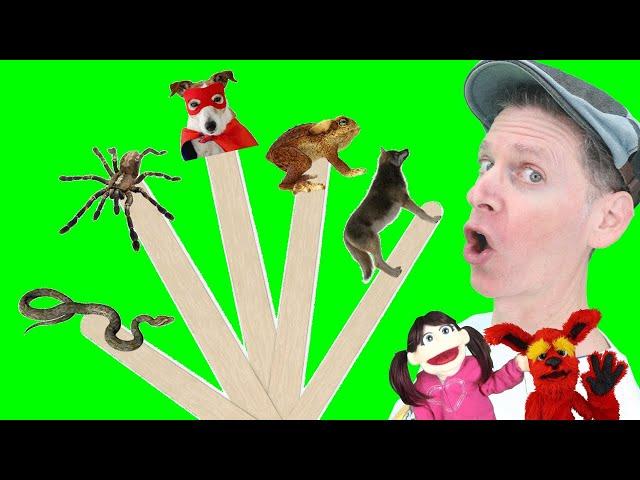 Halloween Spooky Animals Part 2 | Pop Sticks Song with Matt | Dream English Kids