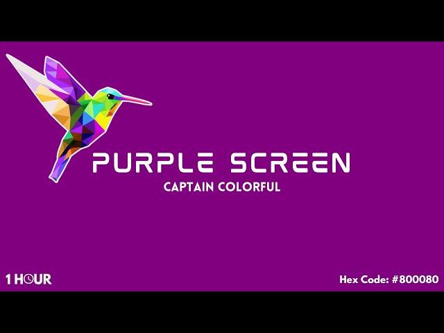 Purple Screen! 1 Hour - Hex Code: #800080 (HD)