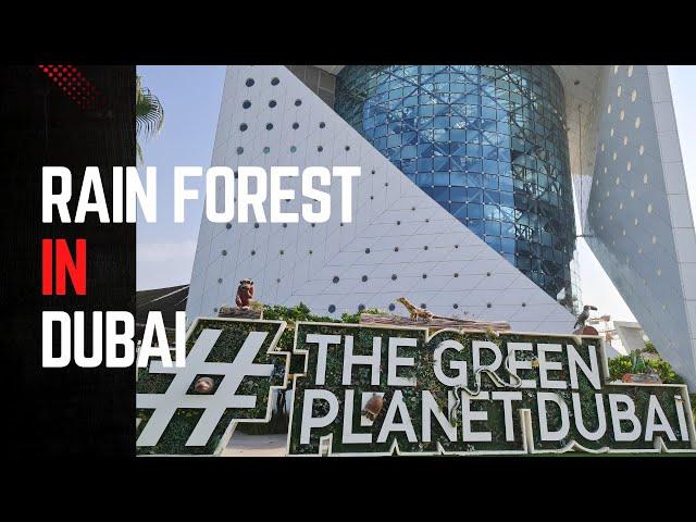 GREEN PLANET DUBAI | RAIN FOREST IN DUBAI | CITYWALK | PLACES TO VISIT IN UAE |