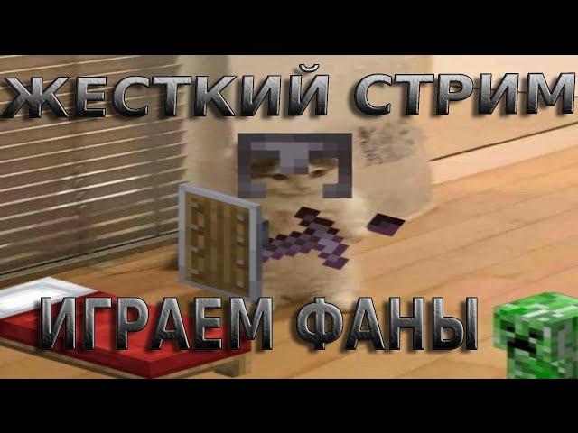 ПЛОТНЫЕ ФАНЫ + ИГРАЕМ С ПОДПИСЧИКАМИ НА ВАЙМВОРЛДЕ / VIMEWORLD STREAM