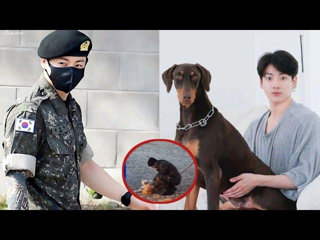 "Bam Congratulations! BTS Jungkook's Fight for His Dog's Recovery"