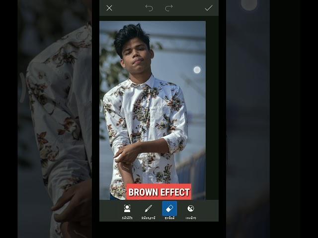 Brown Effect On Piscart #shorts #youtubeshorts #photoexpert
