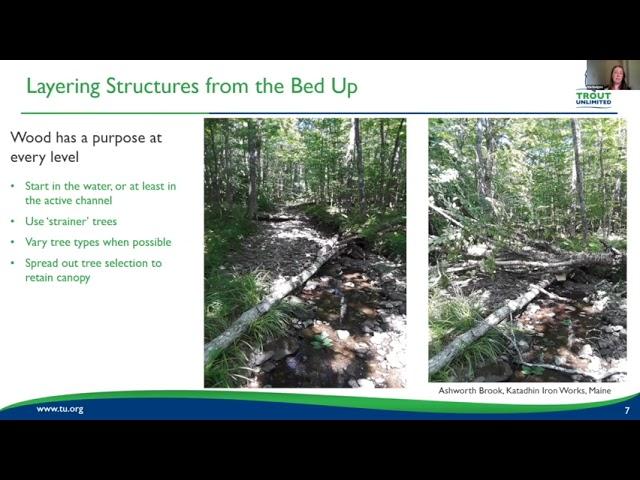 Strategic Wood Addition and Low-Tech Process-Based Stream Restoration