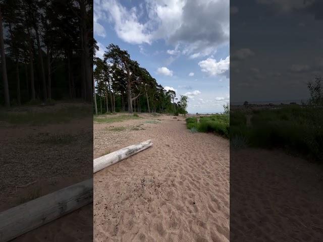 #зеленогорск #санктпетербург #балтика #relaxing #love #we #russia #usa #europe