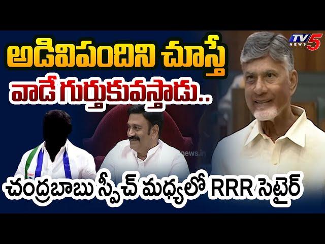 CM Chandrababu Compared YS Jagan Ruling With Wild Boar | AP Assembly Budget Sessions 2024 | TV5 News