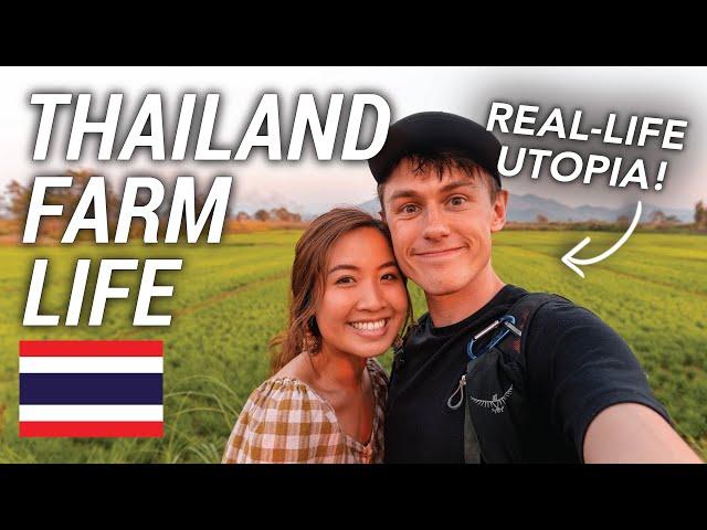 Organic Farm Stay in Thailand: Eco-Tourism at Its Best 