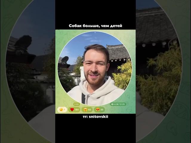 В Корее собак больше, чем детей (наглядно)