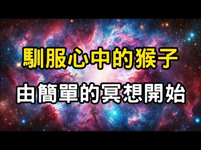 靜修之路：「止」與「觀」的修煉。馴服心中的猴子，由簡單的冥想開始！心靈的自我觀照，馴服心猿意馬的冥想之道；靜修之路上的初步成果。 #開悟 #覺醒 #靈性成長