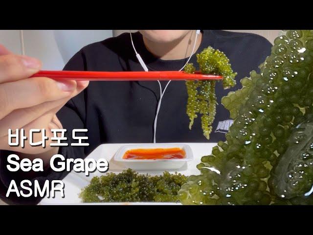ASMR l 바다포도 아그작아그작,  Sea Grape, 海ぶどう, crispy sound :) with earphone