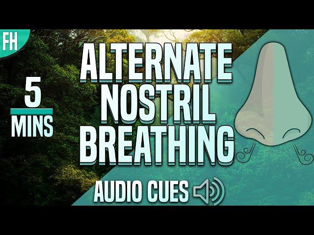 Guided Alternate Nostril Breathing Meditation (Nadi Shodhana) | 5 Minutes