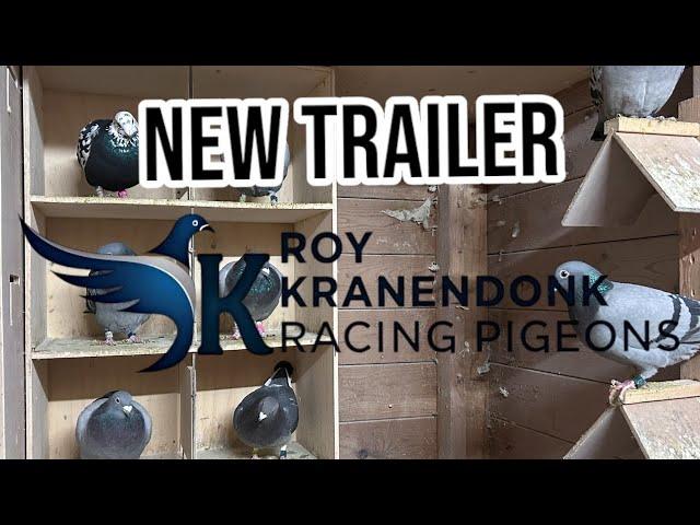 New Trailer Roy Kranendonk Racing Pigeons