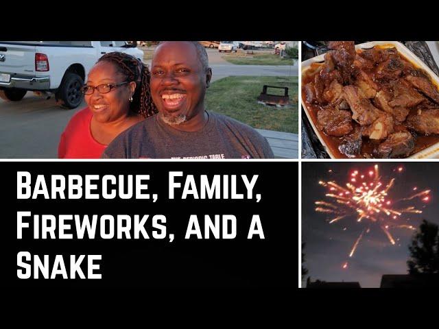 Holiday Week Vlog: Family, Barbecue, Fireworks and a Snake