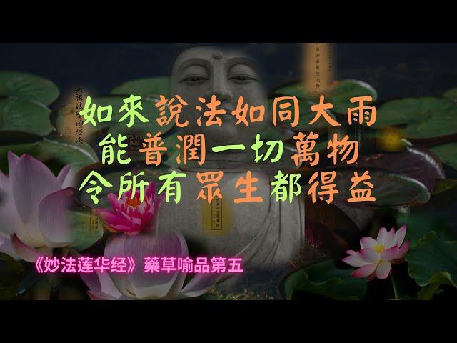 【法華經】如来說法如同大雨，能普潤一切萬物，令所有眾生都得益｜妙法蓮華經｜宣化上人｜佛子