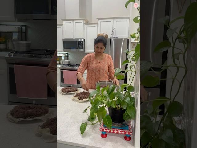 Takkunu ready airum Ragi Semiya #minivlog#474#shorts#short#tamil#vlog#daily#dailyvlog#kitchen