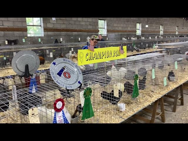 2021 Twin Tier poultry show championship row