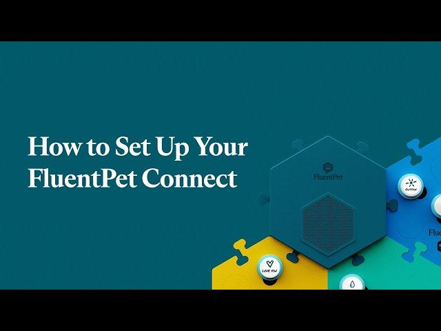 How to Set Up Your FluentPet Connect