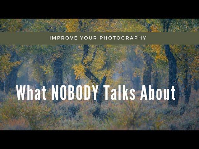 The BIGGEST Step EVERY Photographer Should Take to IMPROVE Your Photography!