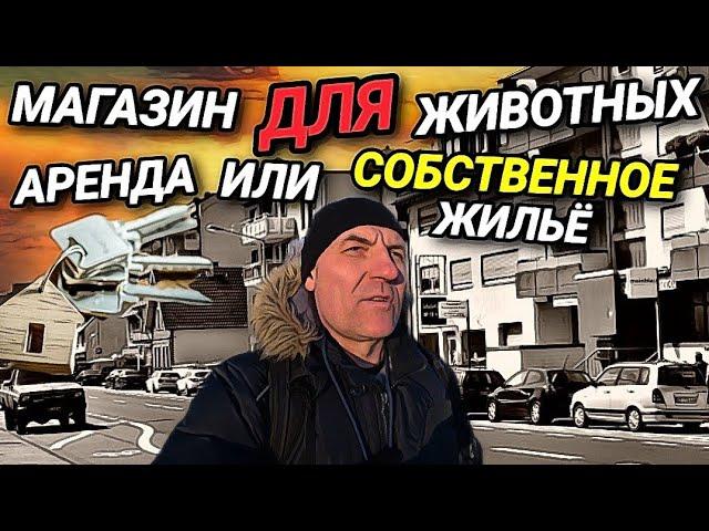 ЖИВОТНЫЕ ОЛИГАРХИ. АРЕНДА ИЛИ СОБСТВЕННОЕ ЖИЛЬЁ. РАБОТА В ПОХОРОНОМ БЮРО.