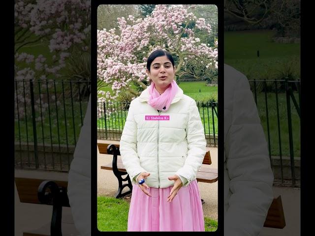 शब्द सबको छू जाते हैं!