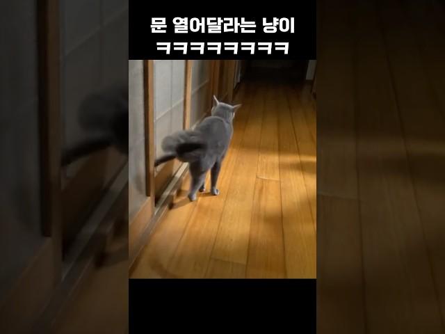 문 열어량