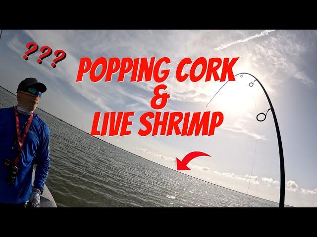 USE THIS SIMPLE RIG TO CATCH SPECKLED TROUT! (CORPUS CHRISTI, TX)