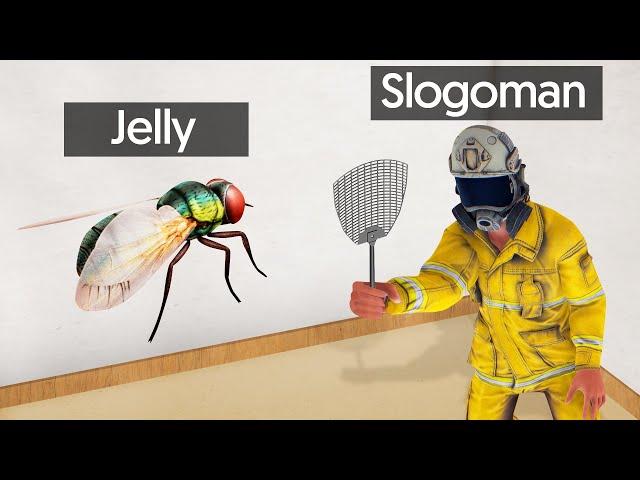 SLAP The ANNOYING FLY To WIN! (Annoying Game)