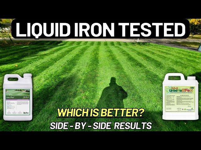 I Tested 2 Liquid Iron Products (side-by-side)