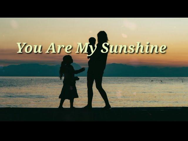 You Are My Sunshine-Christina Perri / D.F lyrics