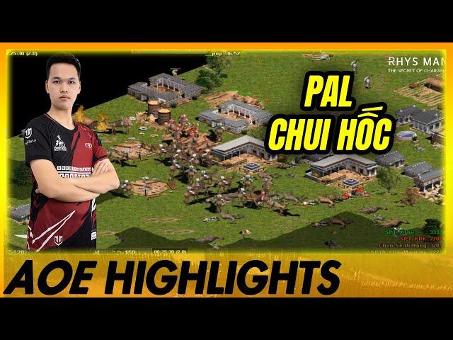 PALMYRAN CÓ HỐC? Lạc đà đông như dòi…| AoE Highlights #aoe