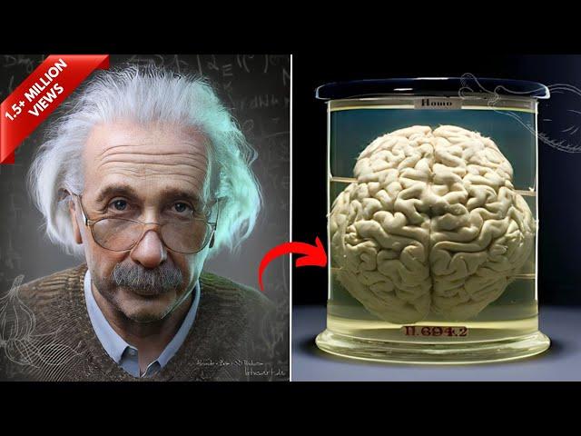 How Albert Einstein's Brain was different from other Human beings?