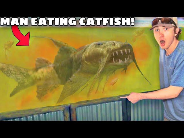 I Bought a MAN EATING Aquarium Fish!