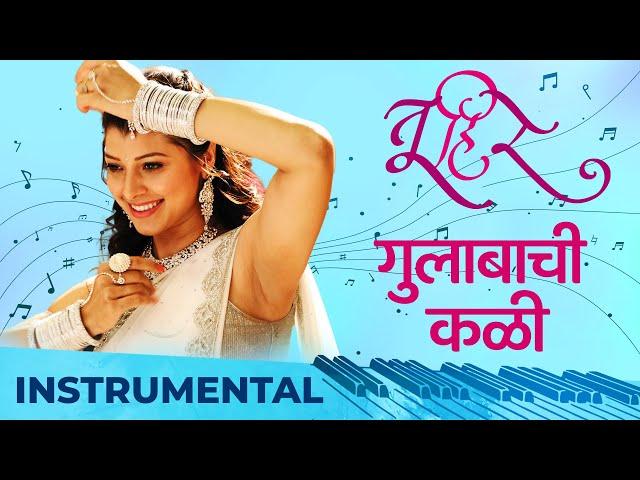 Gulabachi Kali | Instrumental | Vaishali Samant | Amitraj | Tu Hi Re | Swapnil Joshi | Tejaswini P