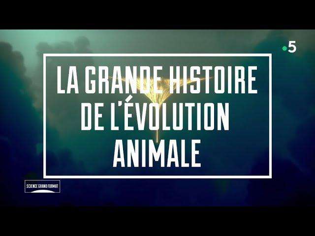 La Grande Histoire De L'Evolution Animale (France 5 - 2019)