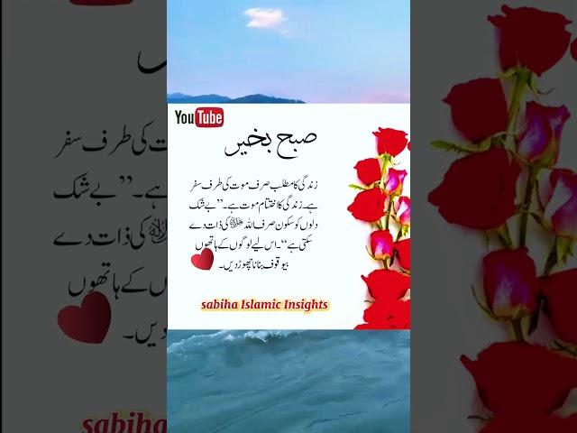 Subha bakhair | zindagi ka Matlab | Urdu quotes | Islamic Urdu | quotes in Urdu | Islamic shorts |