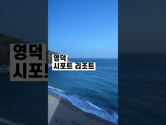 가성비 오션뷰 숙소 끝판왕 | 영덕, 포항 펜션 리조트 추천