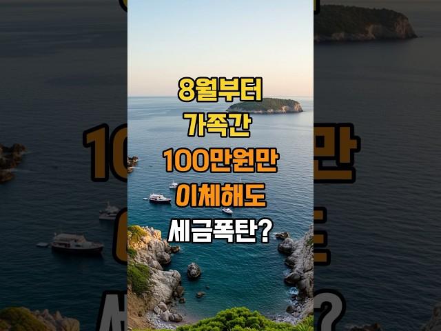 8월부터 가족간 100만원만 이체해도 세금폭탄? #삶의지혜 #조언 #인생지혜
